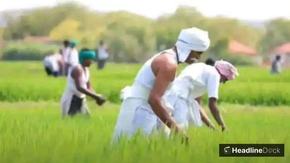 PM Kisan Samman Nidhi Yojana: ₹2000 Installment on March 13