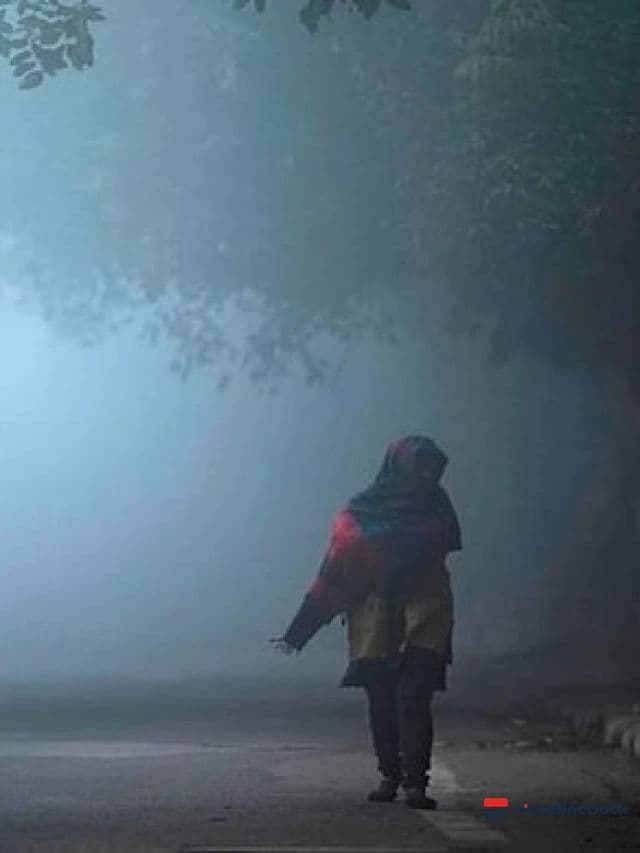 Heavy Rain Alert Across Nine States: Weather Update