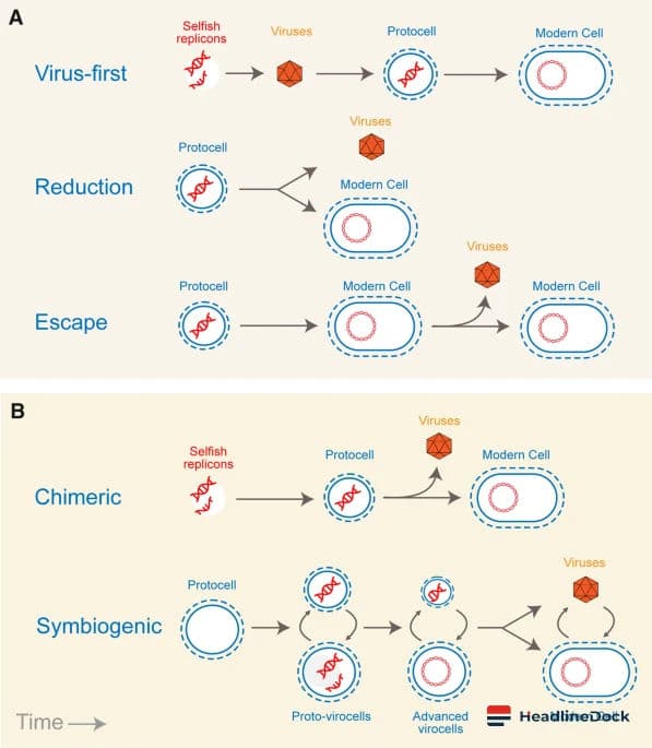 The Myth of the 'Kind Virus': Why Evolution Does Not Guarantee Benign Pathogens