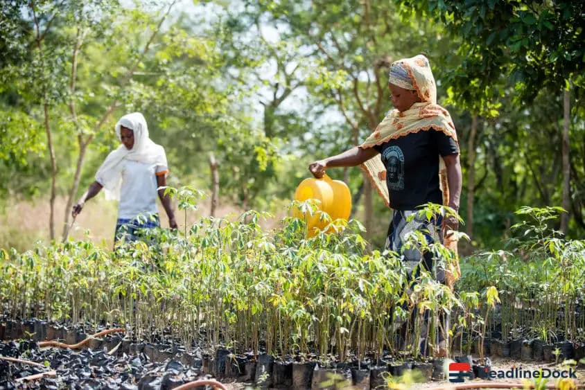 Evolving Community Conservation in Ghana Faces Critical Policy and Funding Gaps