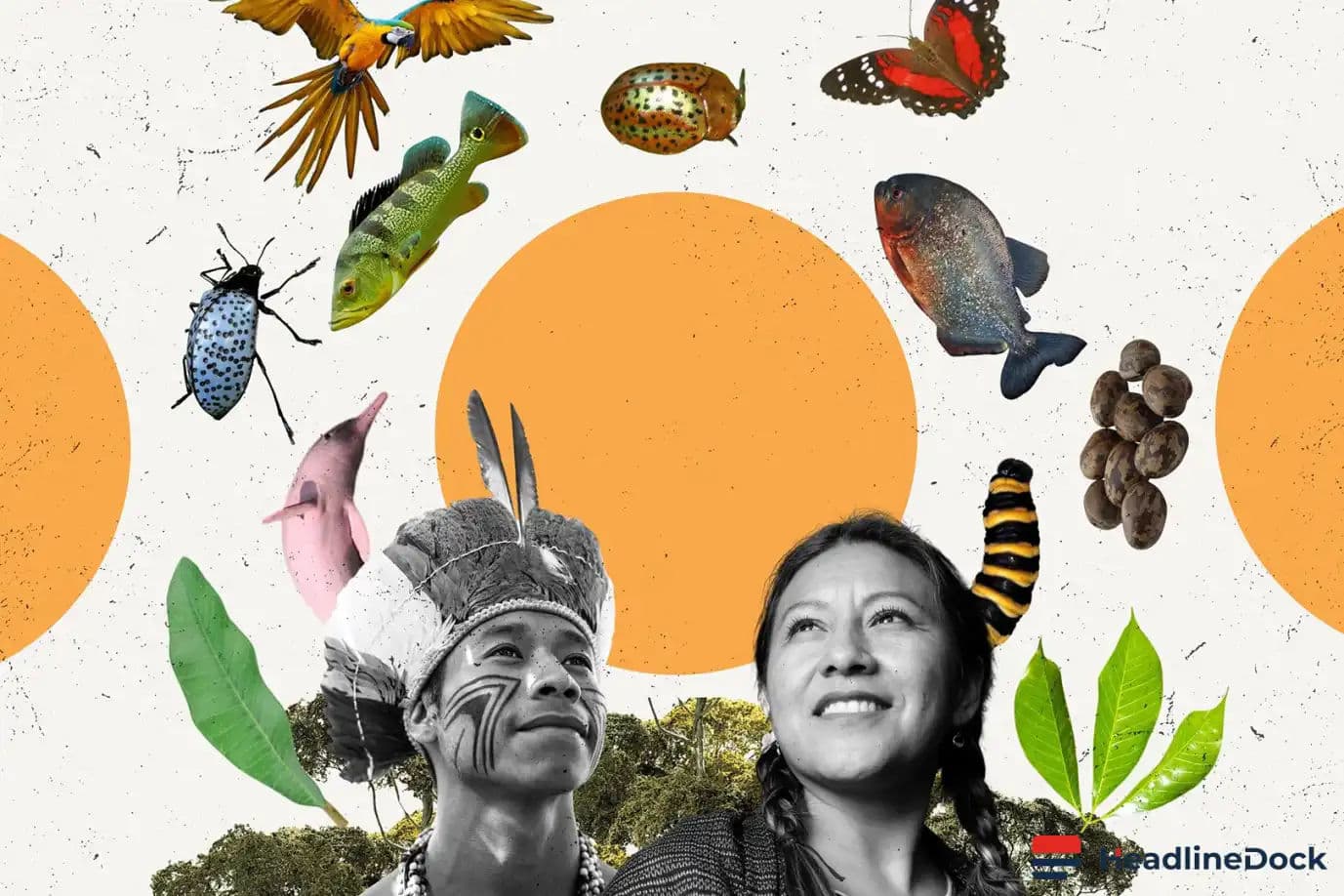 Climate Change Efforts Often Exclude Indigenous People and Their Ancestral Rights