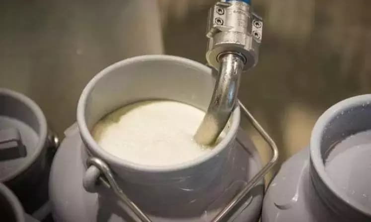 Nellore Dairy's Revival: Samithi Urges NDDB to Takeover