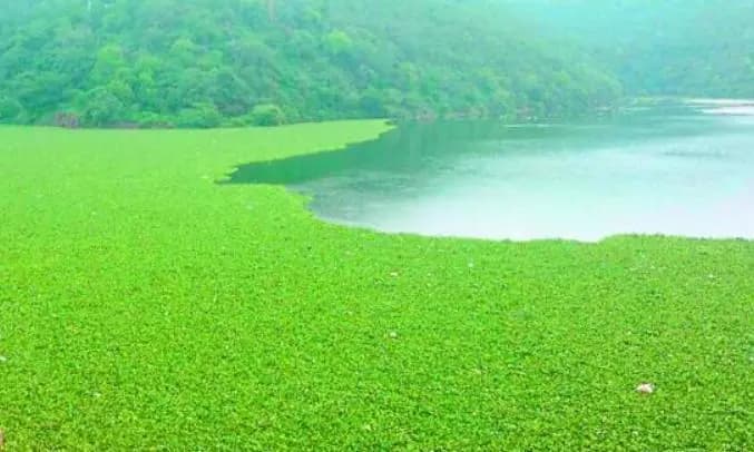 Andhra Pradesh Launches Mission to Clean Lakes and Empower Women