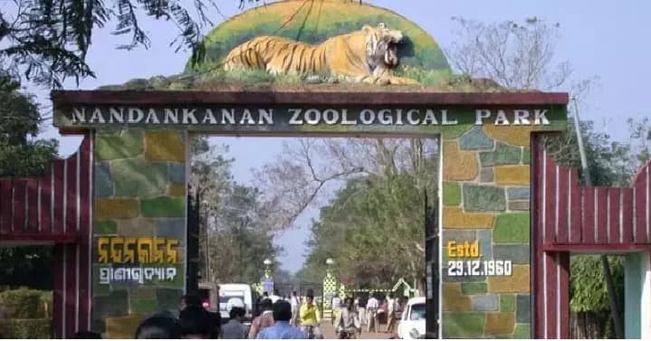 Nandankanan Zoo Embraces Extensive Summer Strategy for Wildlife