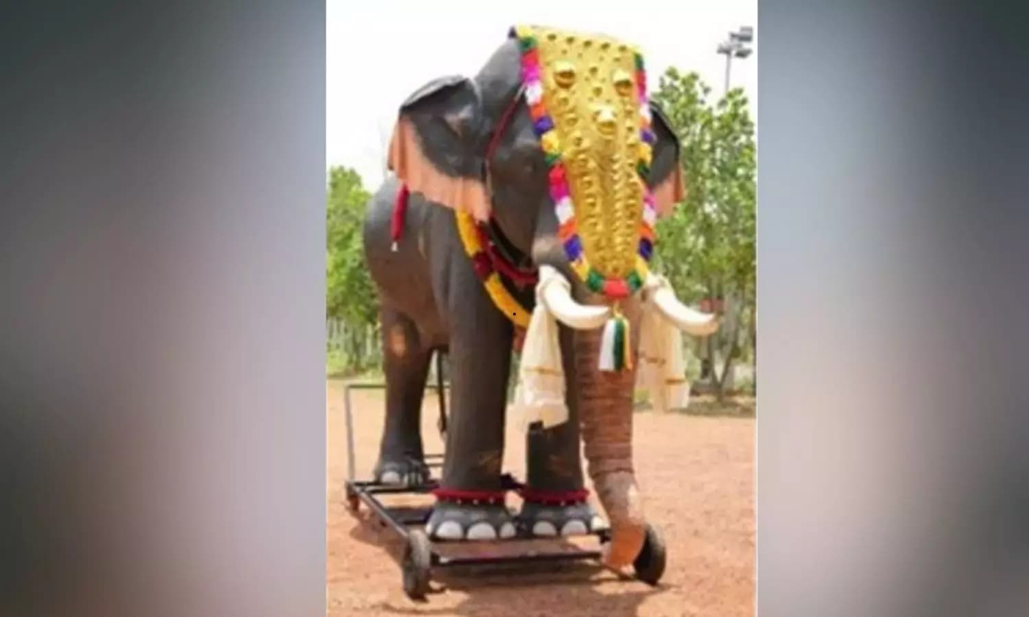 Shia Youth Oppose Mechanical Elephant in Muharram Procession