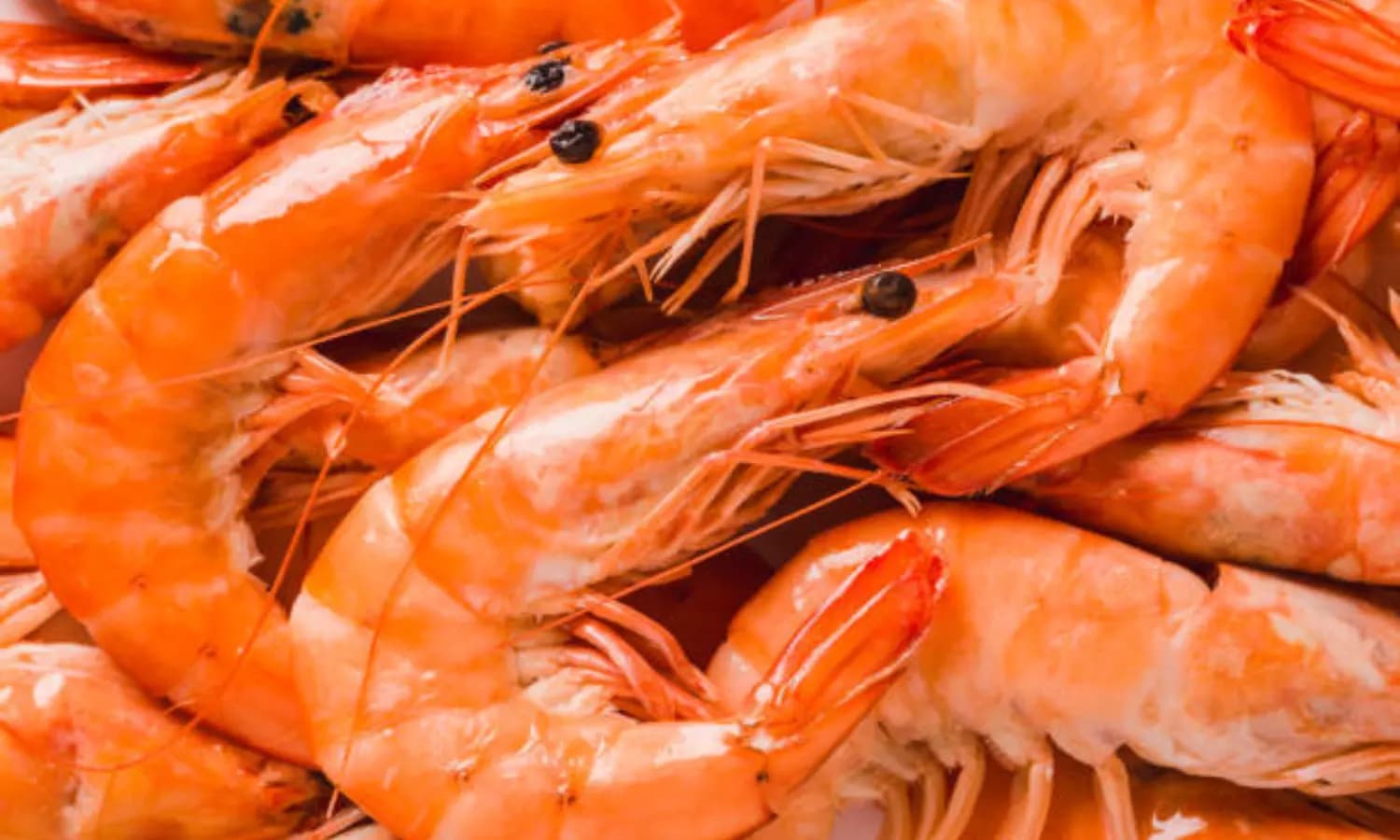 India's Exports of Frozen Shrimps Hit Record High Despite Global Challenges