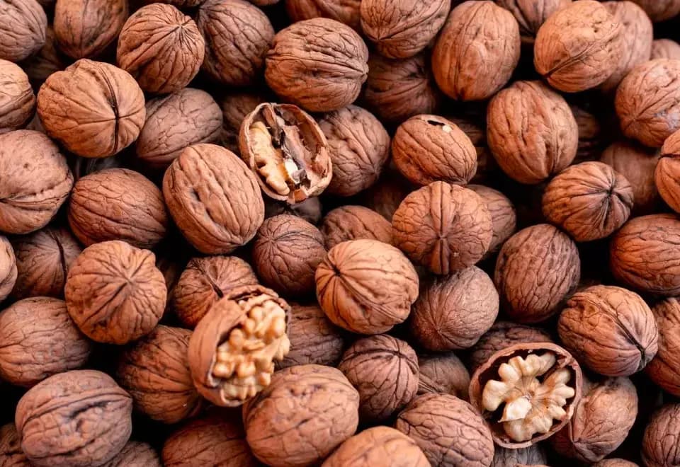 Authorities Bust Major Rs 138.84 Crore Walnut Customs Duty Evasion Racket
