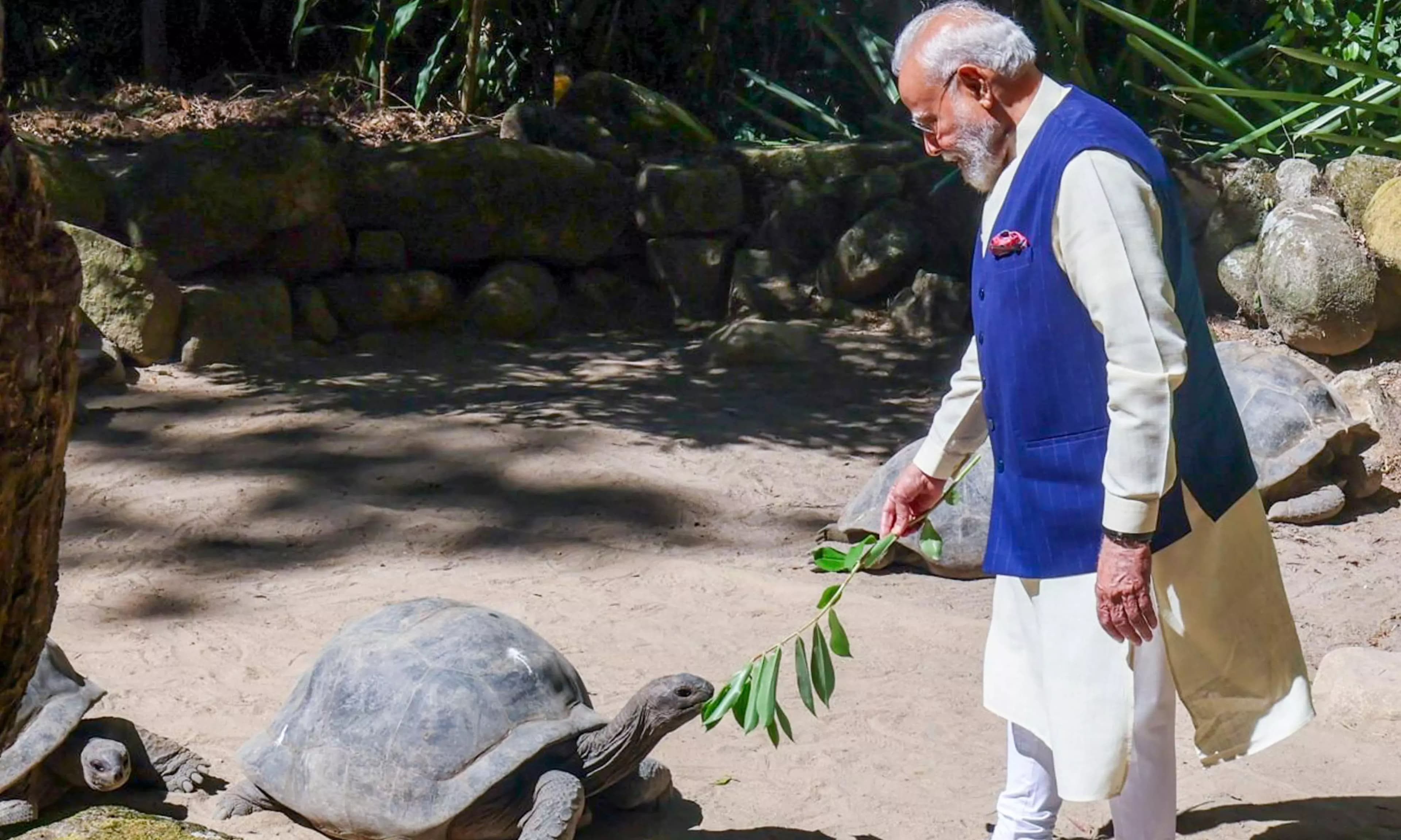 PM Modi Strengthens Seychelles Ties with Biodiversity and Tree Planting Event