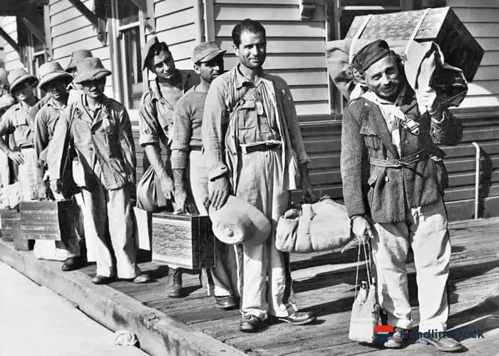The Enduring Role of Australian Immigration in the National Story