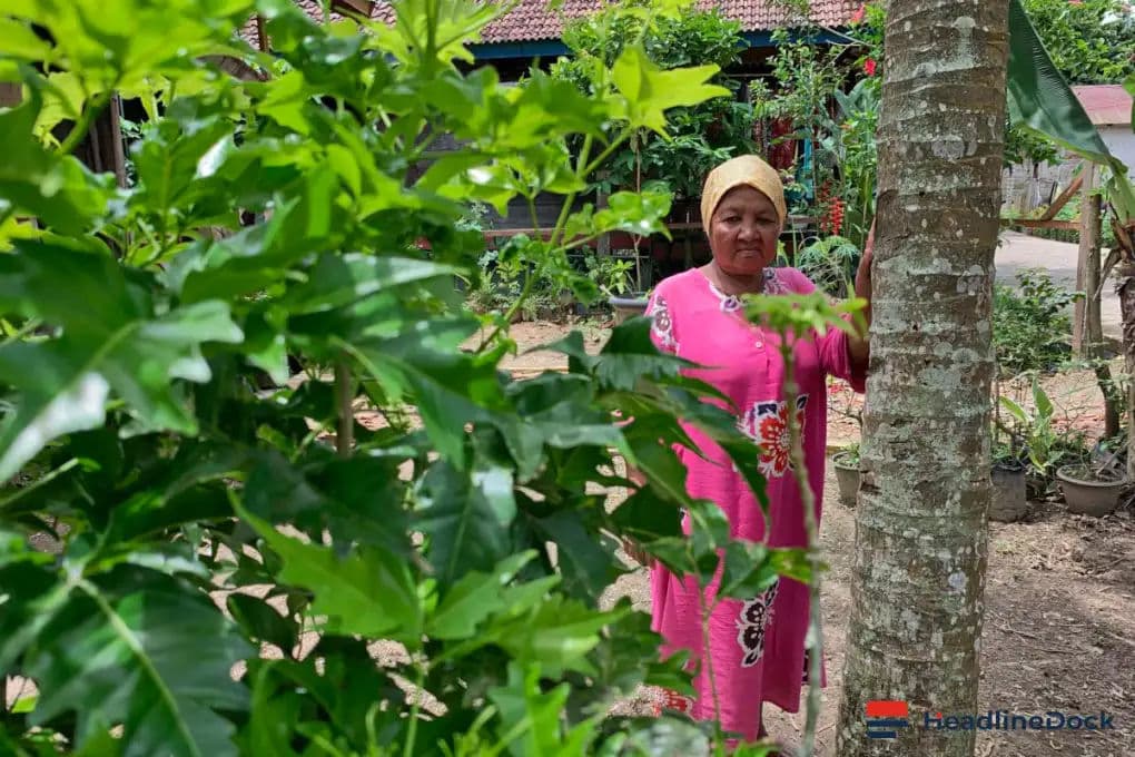 Saving the Fading Traditional Herbal Knowledge of Berbak, Jambi