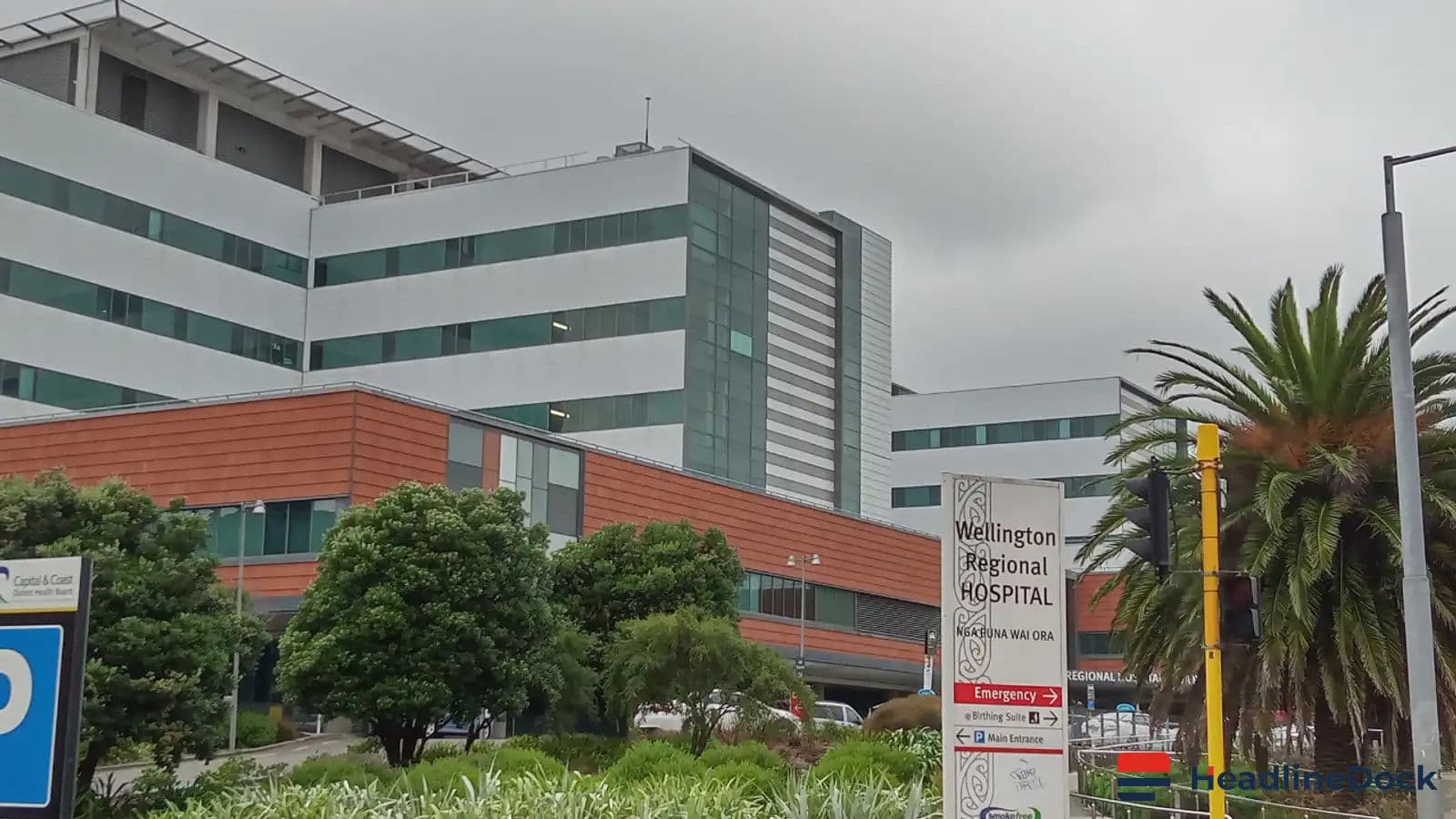 New Zealand's Health Spending Faces Critical Shortfall Amid Rising Future Demands
