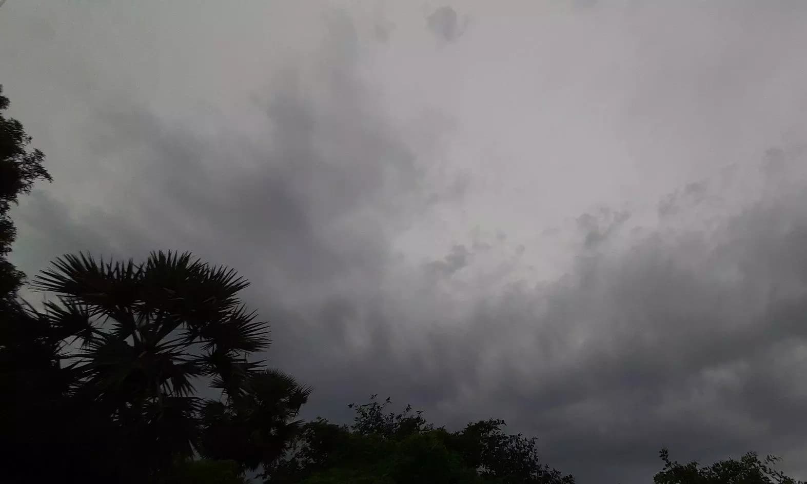 Hyderabad Weather Forecast and Daily Prayer Timings for June 15, 2026