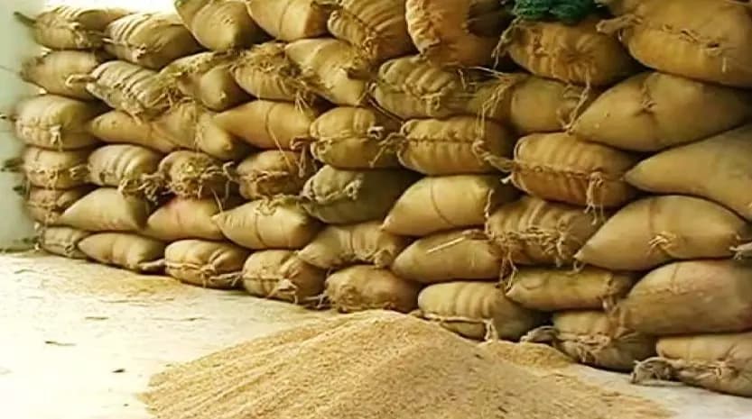 Rice Farmers Struggle with Unexpected Paddy Procurement Halt