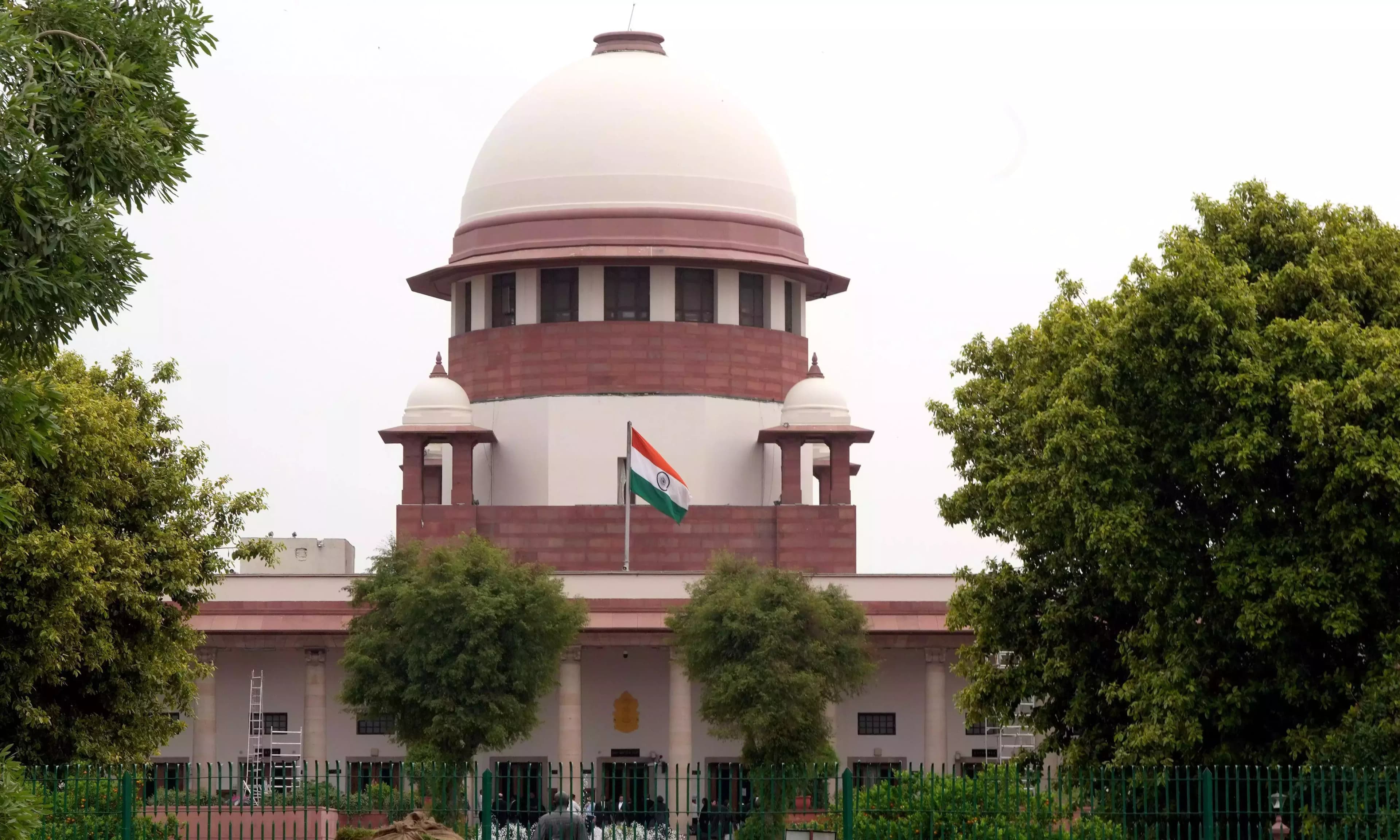 Supreme Court Declines Urgent Hearing for Ban on Cow Slaughter