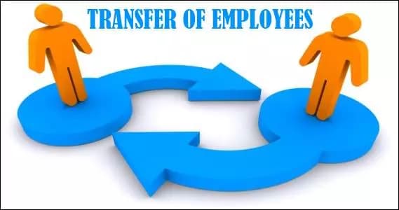 Hyderabad School Education Department Completes General Transfers for 2026