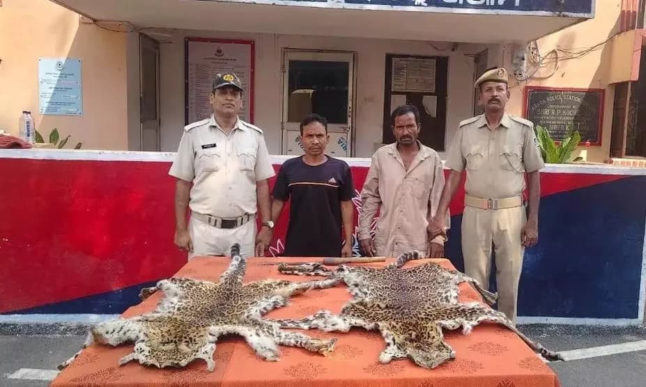 Leopard Skins and Explosives Seized in Odisha's Wildlife Trafficking Crackdown