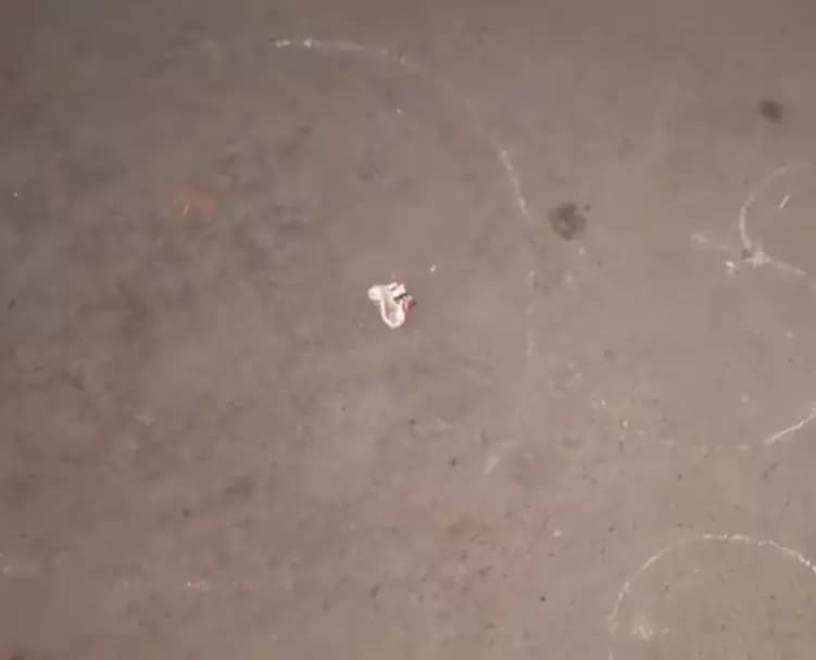 Man Fatally Shot by Bike-Borne Assailants in Delhi's Dayalpur Area