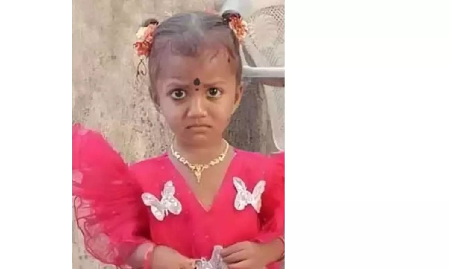 Gnaneshwari Case: Search Operations Intensify for Missing Toddler in Tuni Mandals