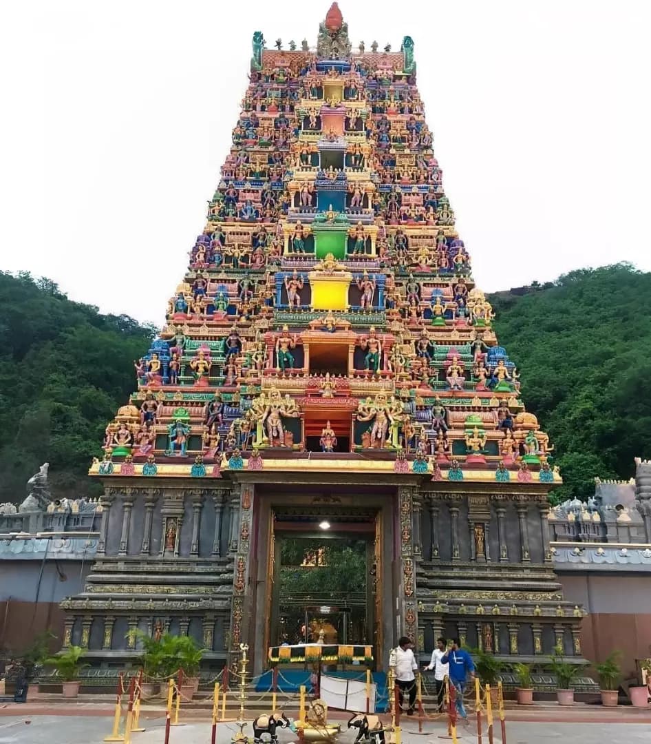 Master Weaver Offers Matchbox-Sized Silk Saree to Goddess Kanaka Durga