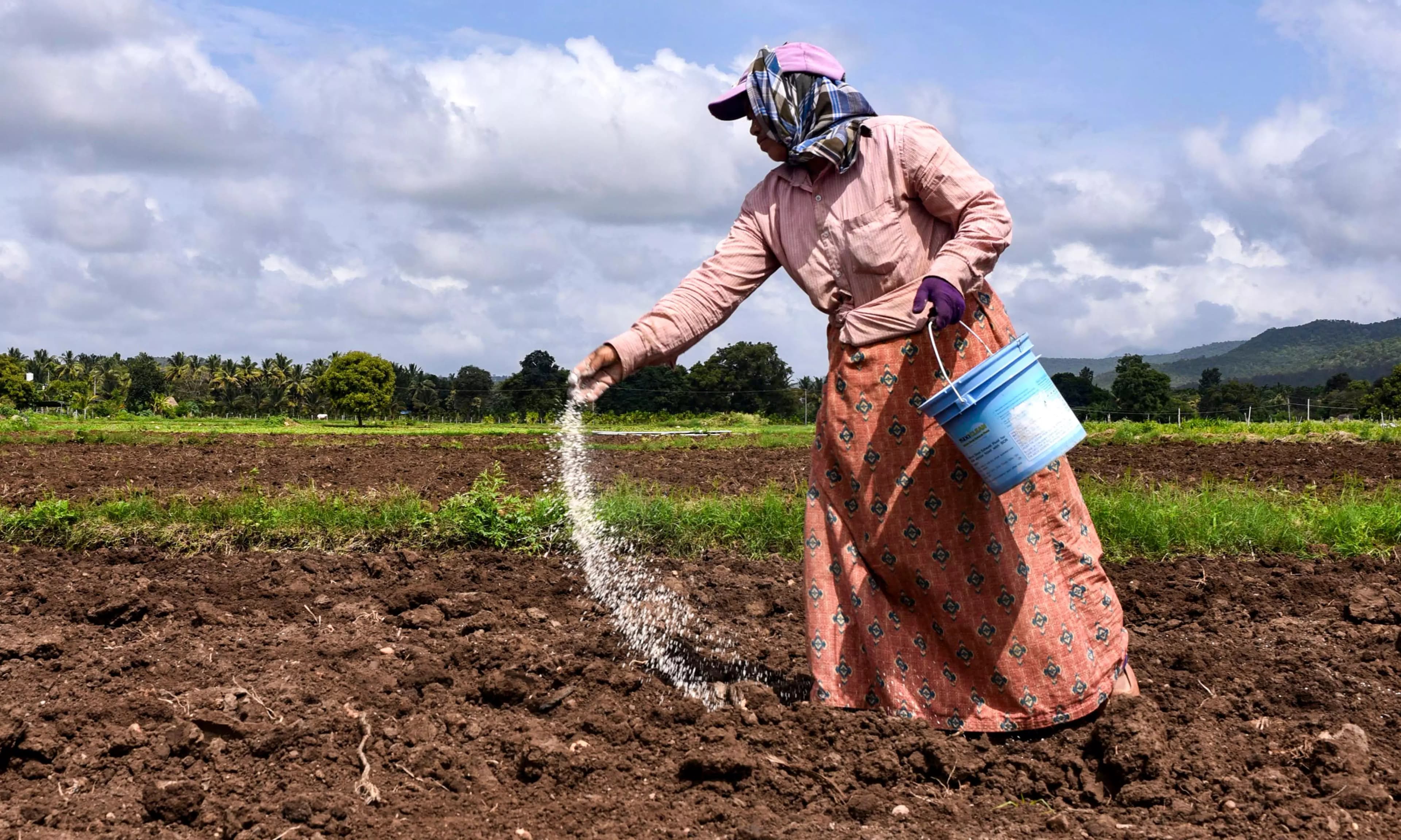 Global Fertiliser Trade Drops 30% Amid Mideast War Crisis: UN