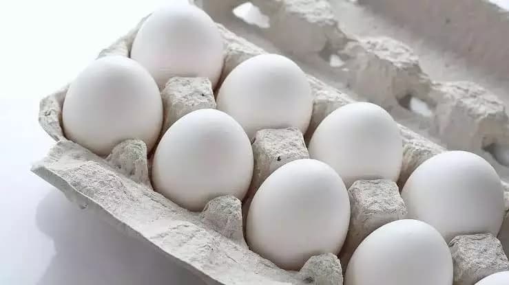 Protests Against TMC Leaders Drive Significant Spike in West Bengal Egg Prices