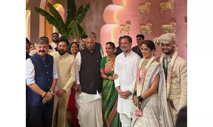 Stars, Politics, and Business Leaders Gather at Revati Sule’s Lavish Wedding