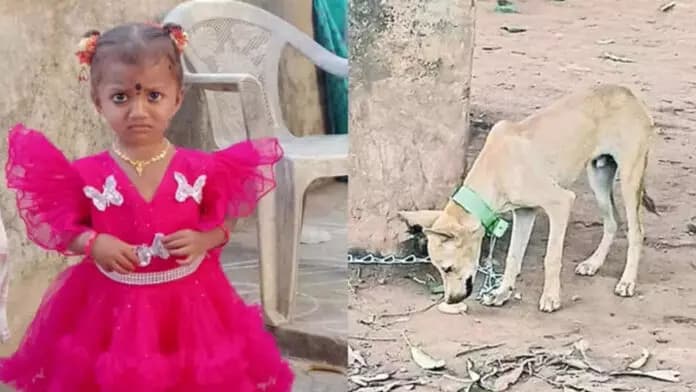 Official Search Operations Conclude for Missing Girl in Kakinada District
